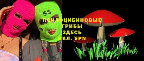 ПСИЛОЦИБИНОВЫЕ ГРИБЫ Лабытнанги