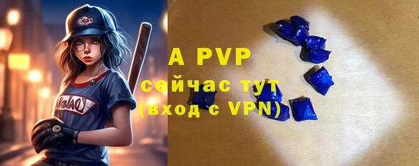 ПСИЛОЦИБИНОВЫЕ ГРИБЫ Лабытнанги