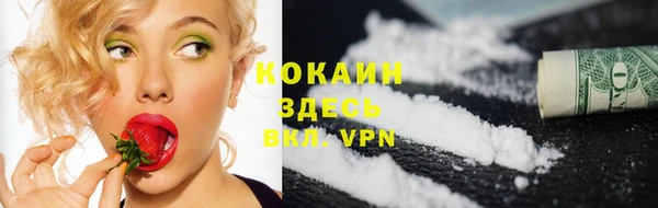 сатива Лагань