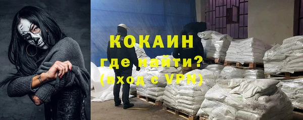 сатива Лагань