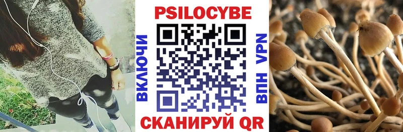 KRAKEN онион  Медногорск  Галлюциногенные грибы Magic Shrooms 